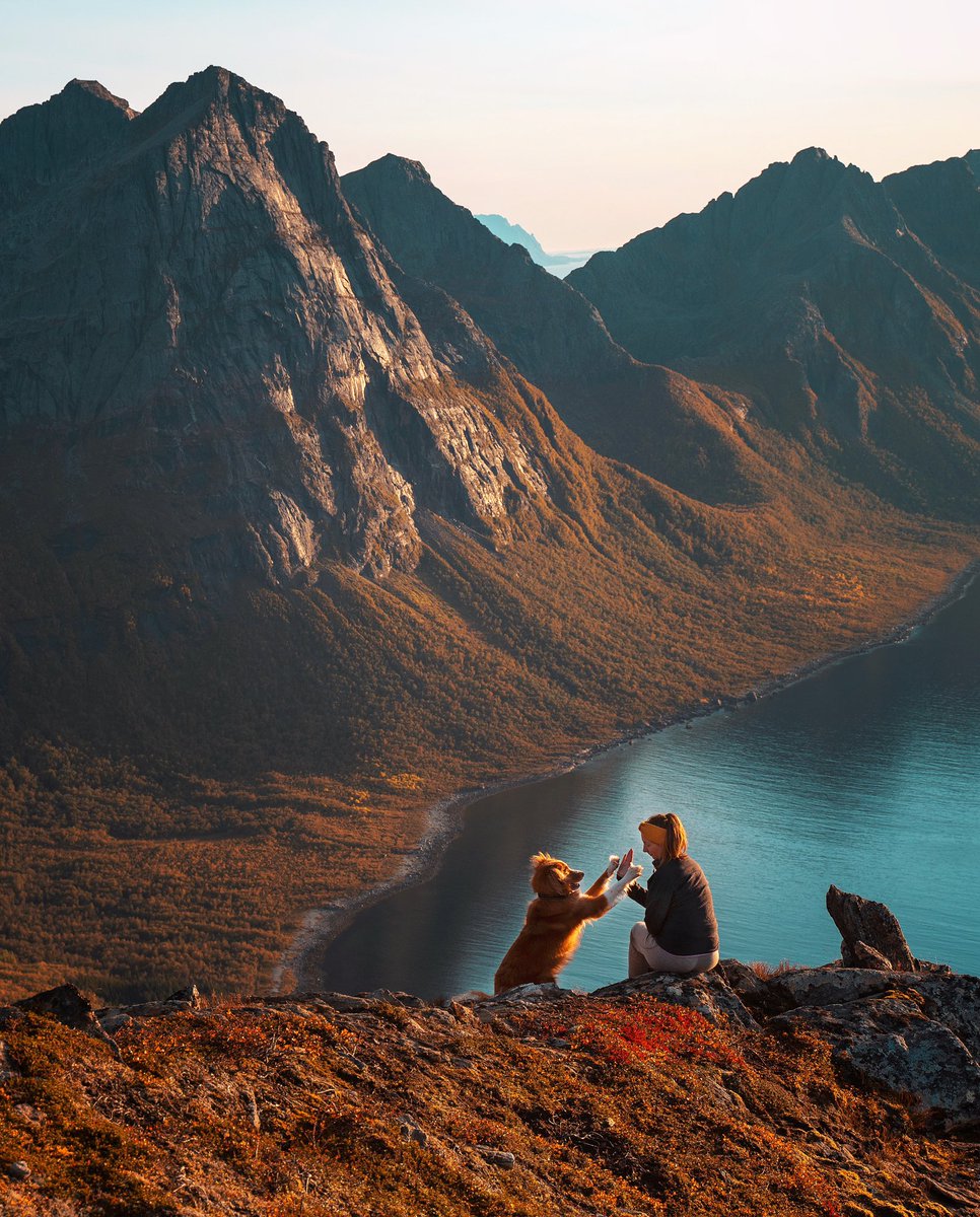 Happy international woman’s day 🧡💪🏼🎉 #InternationalWomensDay #dogsoftwitter #dogtwittercommunity