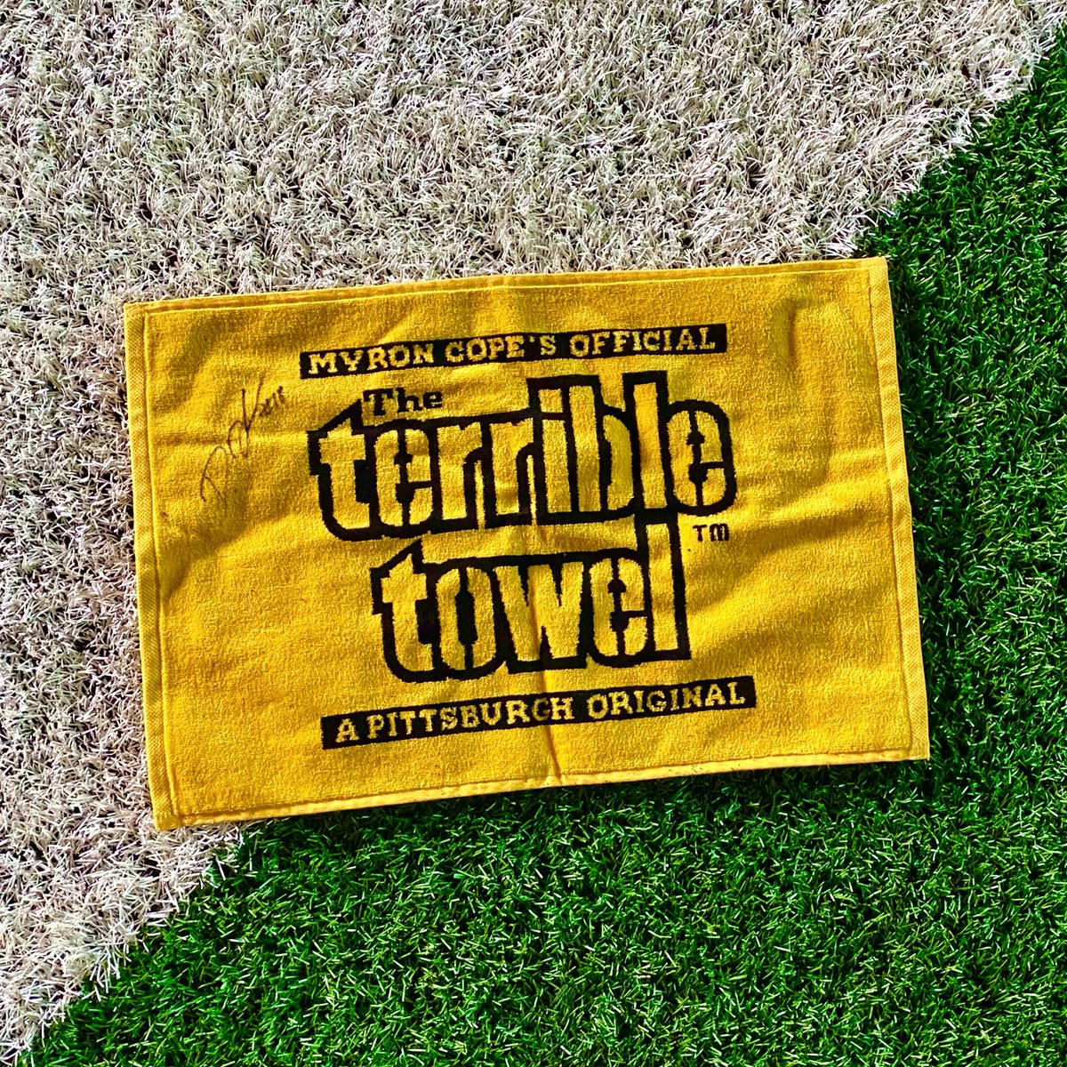SteelersNationUnite tweet media