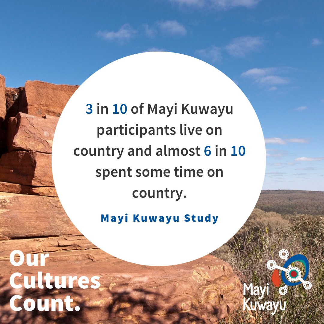 Mayi_Kuwayu's tweet photo. 3 in 10 of Mayi Kuwayu participants live on country and almost 6 in 10 spent some time on country.
#YourDataStory #OurCulturesCount #MayiKuwayuStudy #ConnectionToCountry https://t.co/meXcJdQfl8
