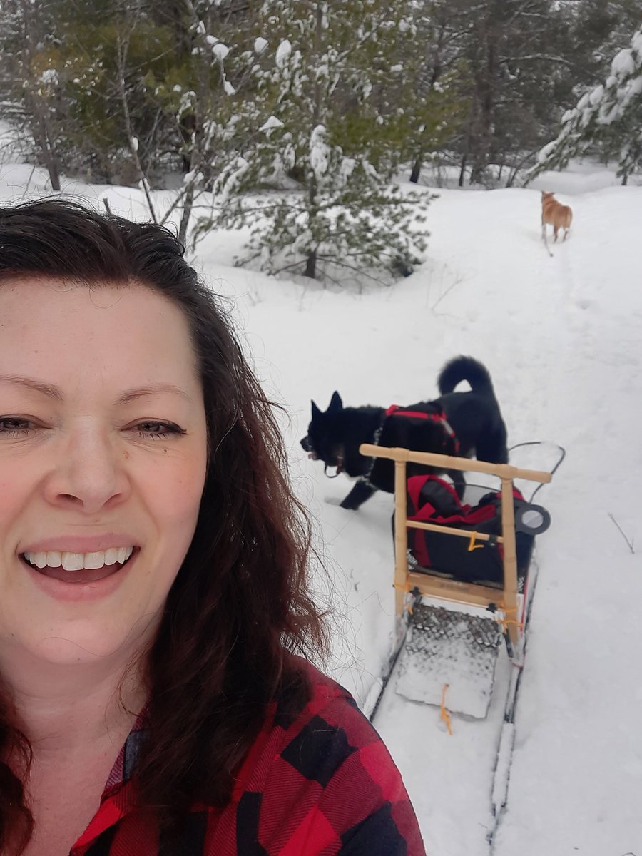 non_rb's tweet photo. Enjoying the moment in #muskoka #eslakicksled #muskokalife https://t.co/7kPUNHNI7o
