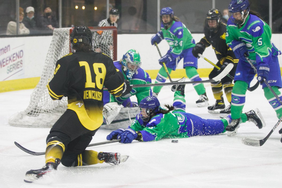 CTWhaleHockey's tweet photo. This weekend the Whale will join Captain Shannon Turner's effort towards #BlockingOuttheStigma.
The Whale will donate to Active Minds for every block by ANY Whale defender this weekend against the @BuffaloBeauts.
How to get involved too โคต๏ธ
๐ฐ https://t.co/pyaysu9PLL https://t.co/KgrDqg5ZKx