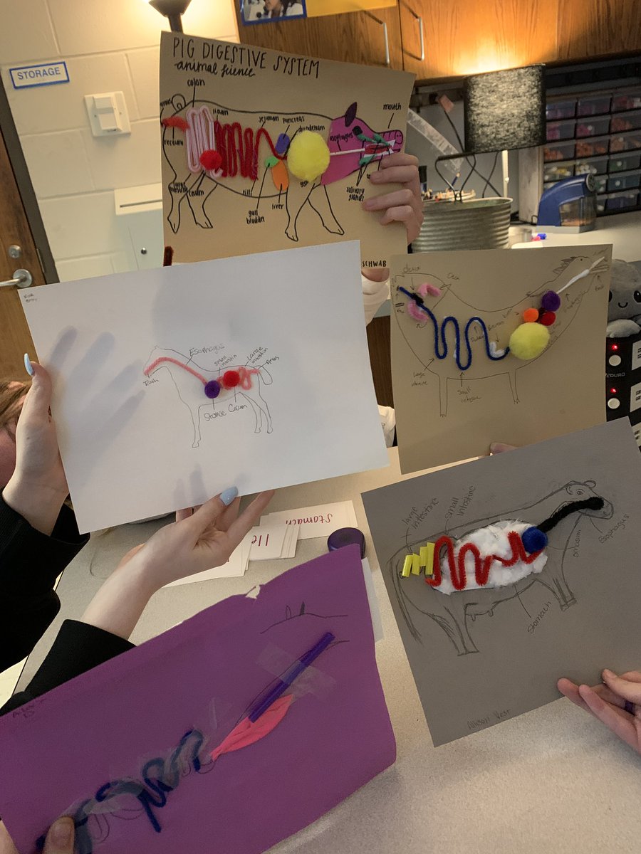 Mrs.V's Classroom tweet media