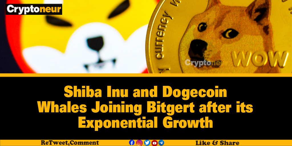 MyCryptoneur's tweet photo. Bitgert is the hottest #crypto coin in the market today. This can be seen from the huge numbers of crypto investors buying Bitgert even during the bear market.
FULL ARTICLE: 
https://t.co/zdK3FRJDxL
#Cryptoneur https://t.co/JGh69iqDnT