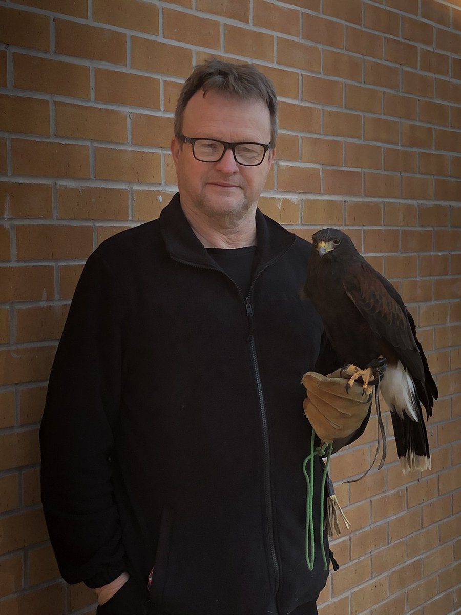 Having problems with pigeons, seagulls, cananda geese, rabbits, squirrels, moles, rats or mice in the Midlands area, then look no further please contact Steve at S &amp; D Pest Control Solutions for a site visit and quotation on; 07891792564.