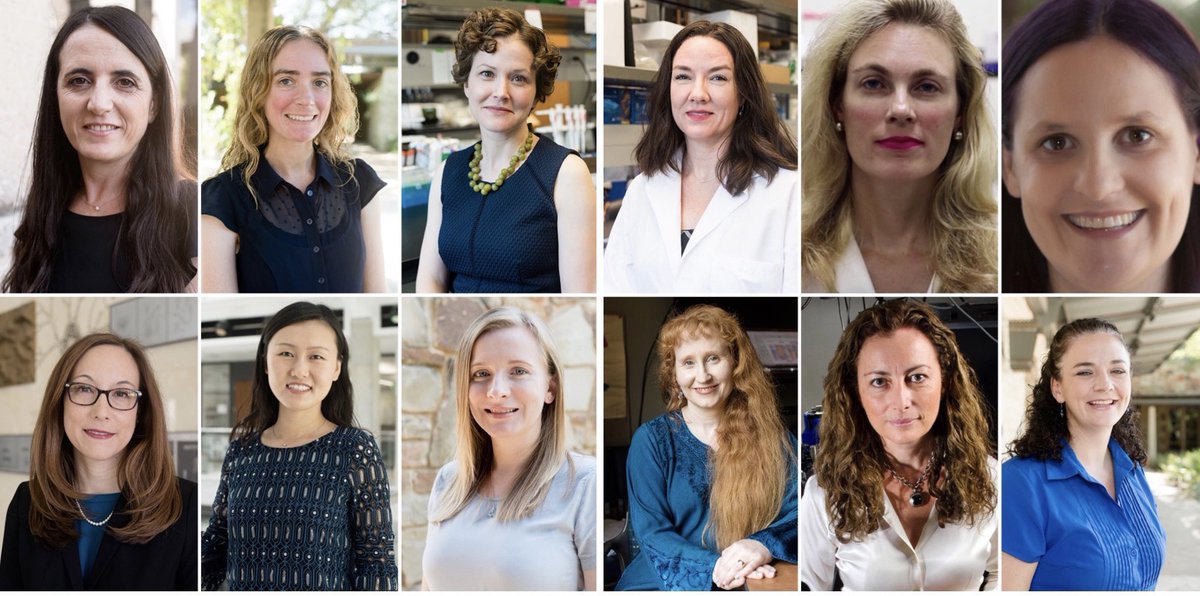 Celebrating #InternationalWomensDay2022 with our outstanding #TexasBME faculty! #WomenInSTEM #WomensHistoryMonth