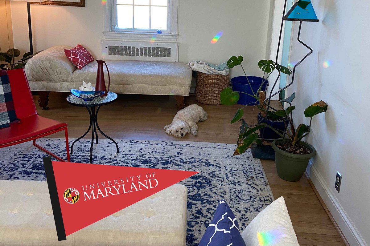 Glovey_Chron's tweet photo. Because I’m the Best Dog Ever, I’m doing my share to help my mom raise money for @UM_Scholars on #givingdayumd. You’d think she’d promise me some hot dogs or something but nooo, it’s just “Be a good dog and post this on your Twitter.” It’s a good thing I’m philanthropic minded. https://t.co/uCZfHfQ8LI