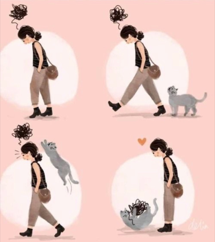 CatFoodBreath's tweet photo. Why Cats Are Awesome https://t.co/QefL7mroxz