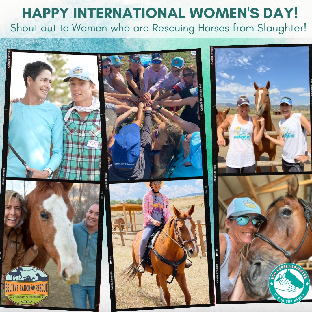 HorsesInOurHand's tweet photo. 🙌 🇺🇸 On International Women's Day...SHOUT OUT TO ALL THE WOMEN WHO ARE RESCUING HORSES FROM SLAUGHTER, ABUSE AND NEGLECT! ❤️💪

Celebrating @rebekahkeat and @SiriLindley, founders of Horses In Our Hands and Believe Ranch and Rescue.

#BANHORSESLAUGHTER https://t.co/CFT6g9xLfK