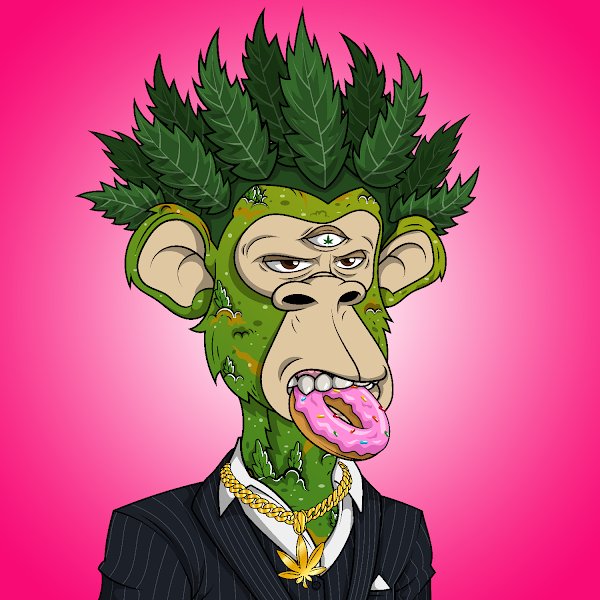 LiL_SpAcEd_OuT's tweet image. 78 apes minted, 78 apes staked, $2400 a month in passive income. Yes please 💪🔥