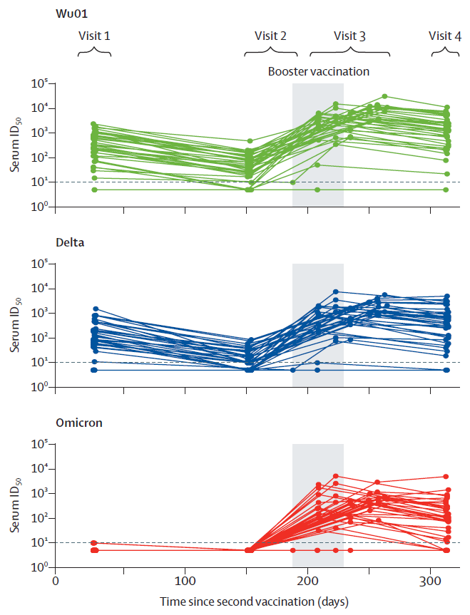 Unsere neue Studie mit Florian Klein &amp; Team <a href="/UKKoeln/">Uniklinik Köln</a> zur Stabilität von neutraliserenden Serum-Antikörpern nach Boosterimpfung in älteren Menschen (⌀82J) ist publiziert. 
#Booster #ImpfenSchuetzt 
<a href="/ChariteBerlin/">Charité - Universitätsmedizin Berlin</a> <a href="/KurthGroup/">Florian Kurth</a>
 thelancet.com/journals/lanin…