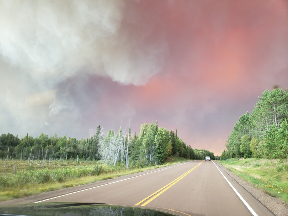 Looking for tips on how to prepare for future #wildfires like the #Greenwood fire in northern MN last year? We're hosting a free, virtual event Wed, Mar. 23 from 6-7pm w/ Tofte District Ranger Ellen Bogardus-Szymaniak >> RSVP @ bit.ly/3sSGXMF