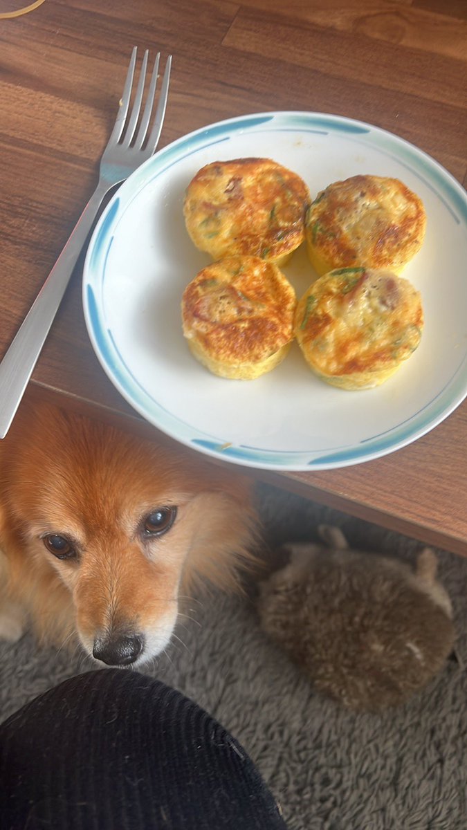 aly_wu's tweet photo. DIY Starbucks egg bites! Making use of my random Amazon finds 😅 #homemade #breakfast #keto https://t.co/1gYf1IEj7M