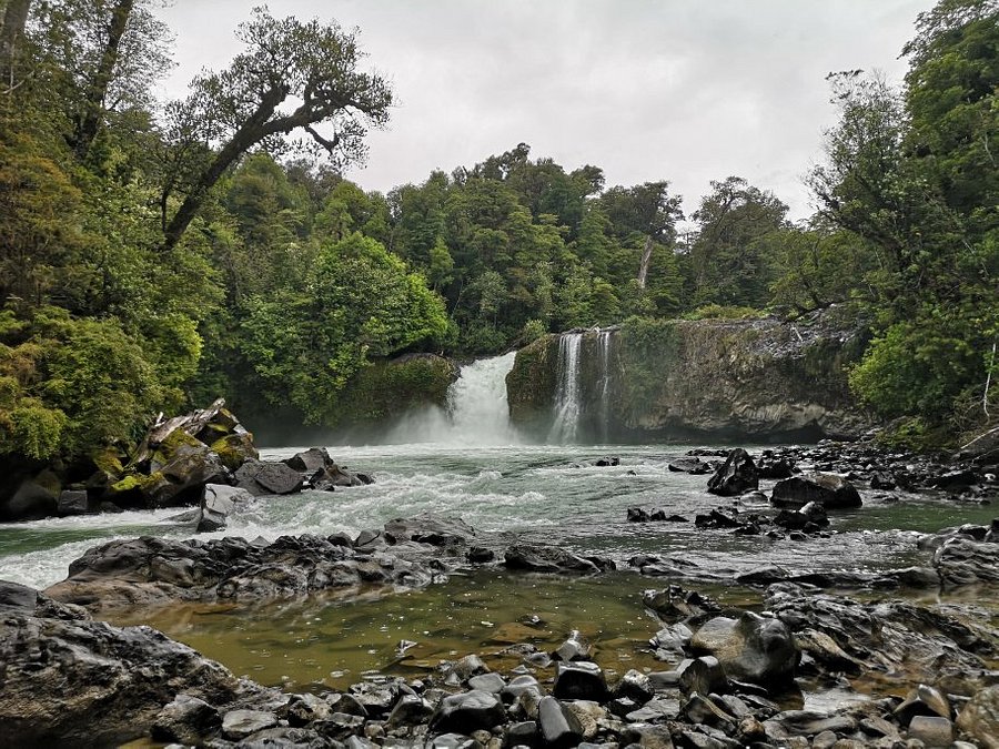 Nueva actualización de información: en la tarde de hoy martes 08 de marzo, tanto los senderos de Anticura como Aguas Calientes del Parque Nacional Puyehue estarán cerrados por fuentes vientos y lluvia.