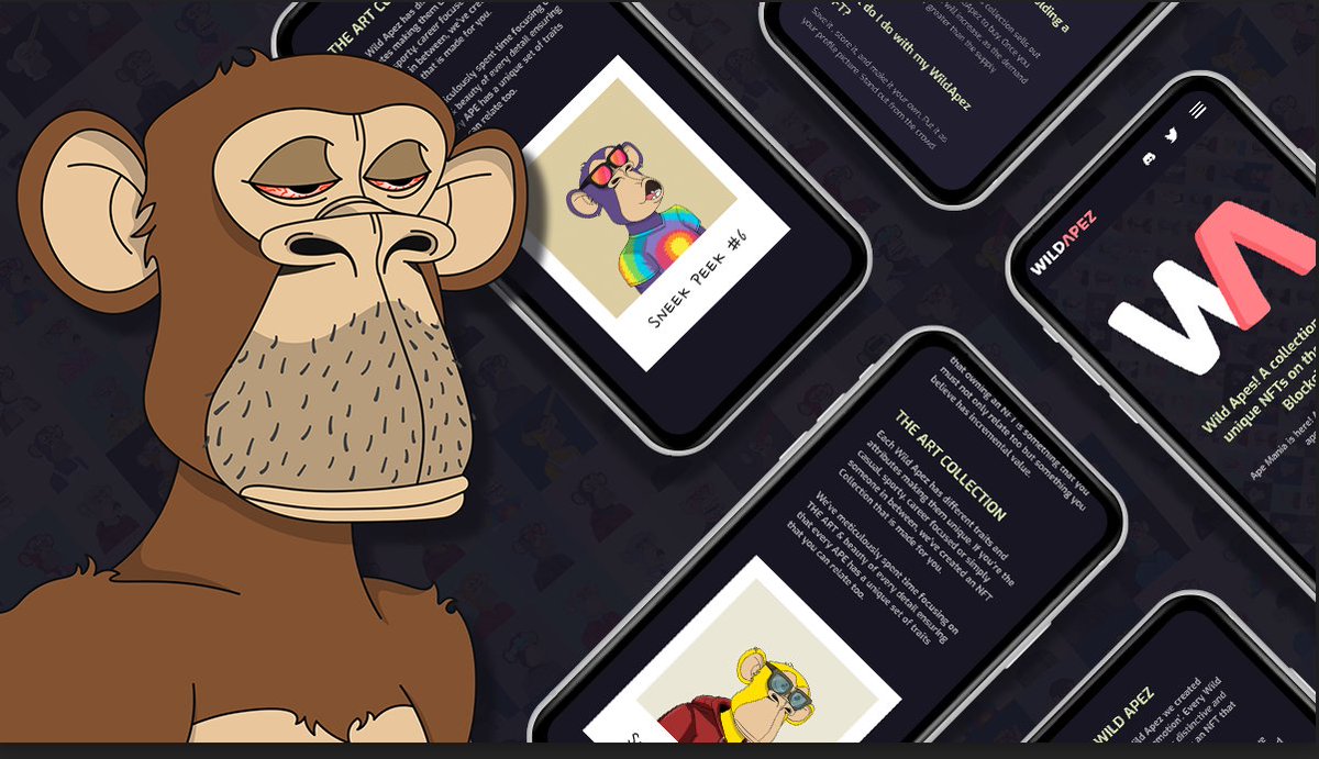 Wild_Apez's tweet photo. Literally just minutes away from launching our website 😃 https://t.co/JgtkOhWTAP