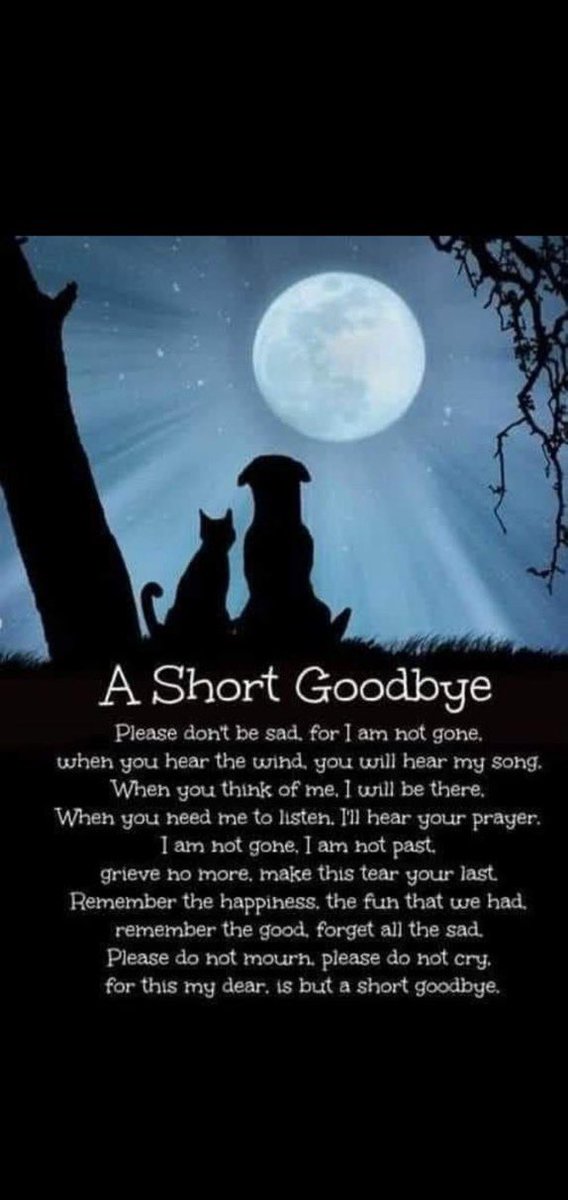StaceyDowe's tweet photo. @srodarbal So So sorry to hear this sad news 😢 about Willow... https://t.co/I5Mc6DrvaT