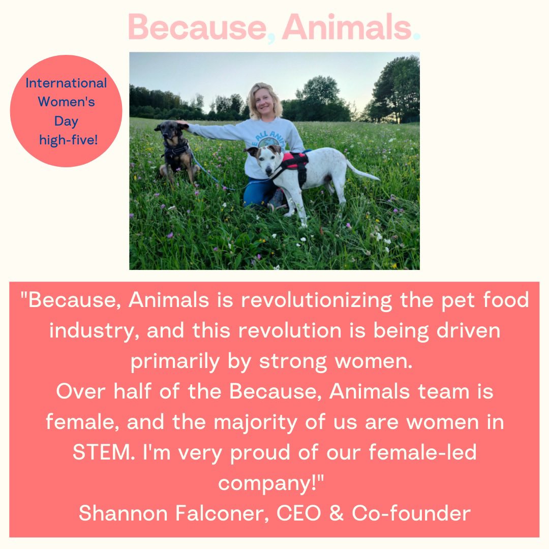 BioCraftPet's tweet photo. A big shout-out to all the women-led startups out there! There are still so many challenges unique to us. Happy International Women’s Day.
#internationalwomensday
#iwd2022
#becauseanimals
#loveallanimals
#culturedmeat https://t.co/zcrWDXvuOX