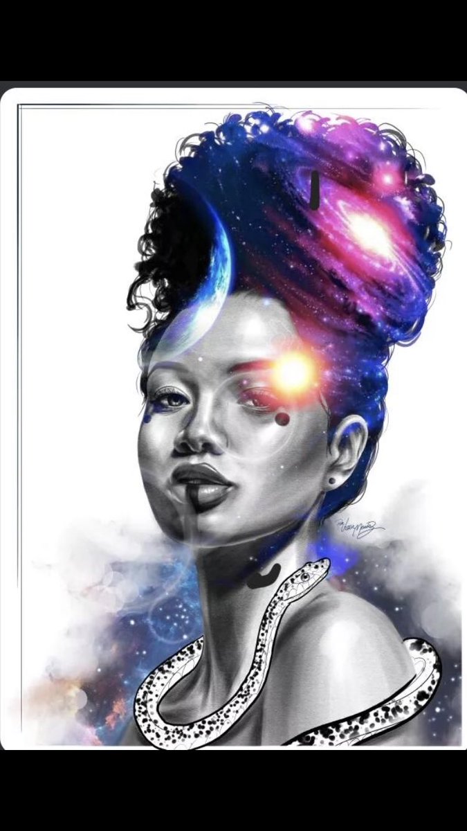 NAP STUDIO.BR tweet media