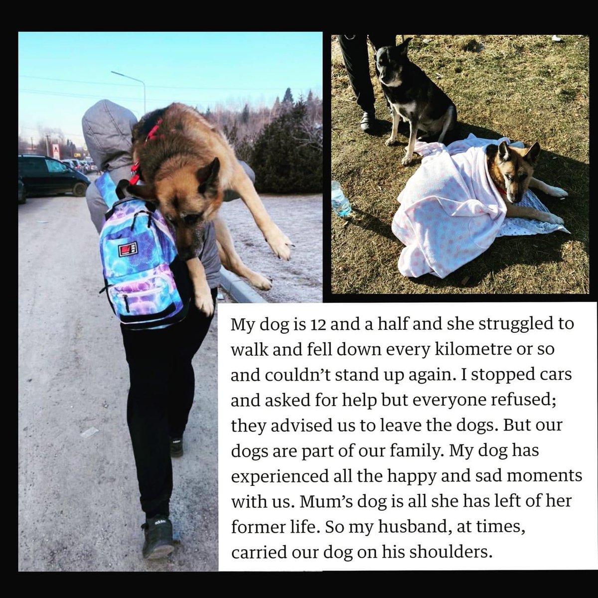 Dear Prime Minister this is why we need emergency pet passport scheme Ukrainian refugees entering U.K. <a href="/BorisJohnson/">Boris Johnson</a> <a href="/carrielbjohnson/">Carrie Johnson</a> <a href="/peta/">PETA</a> <a href="/theRCVS/">Royal College of Veterinary Surgeons</a>  <a href="/BritishVets/">BritishVets</a> <a href="/ZacGoldsmith/">Zac Goldsmith</a> <a href="/DefraGovUK/">Defra UK</a> <a href="/DeborahMeaden/">Deborah Meaden 🇺🇦</a> <a href="/ChrisGPackham/">Chris Packham</a> <a href="/scanme_tukslaw/">Tuks Law</a> <a href="/JuliaBradbury/">Julia Bradbury I HAVEN'T BOUGHT BLUE TICK💙</a> @OtlPodcasts <a href="/NickyAACampbell/">Nicky Campbell</a>