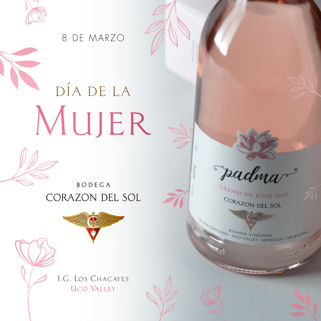 Bodega Corazón Del Sol tweet media