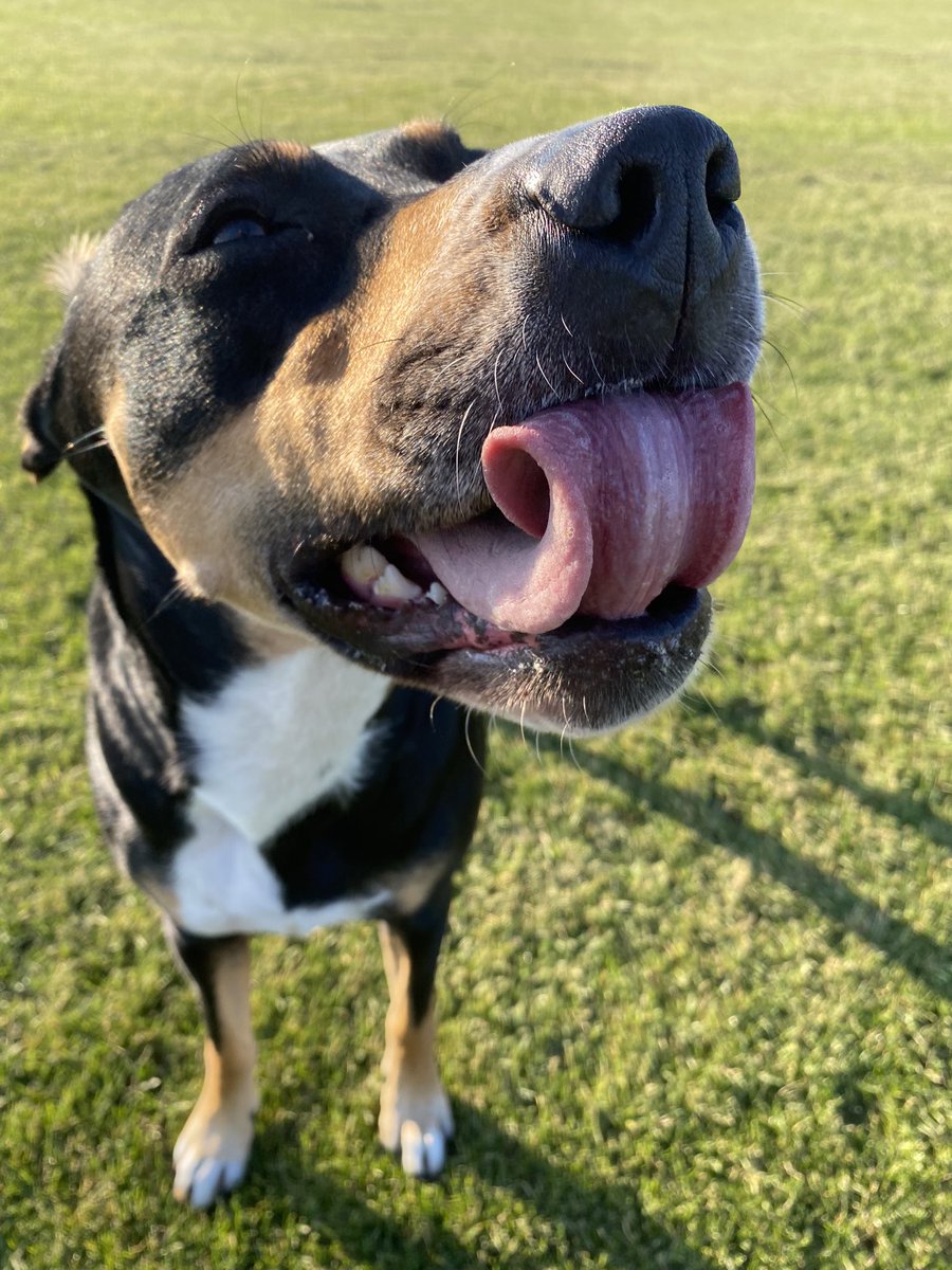 MollyDo16382907's tweet image. Can you roll your tongue 👅 ?