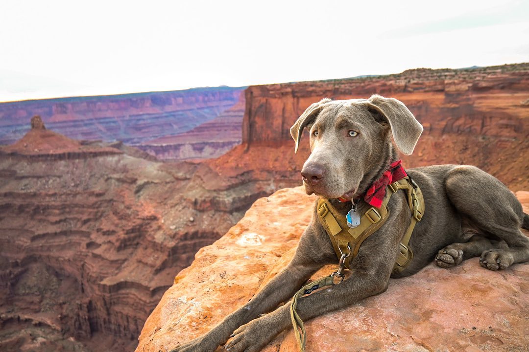 Discover Moab tweet media