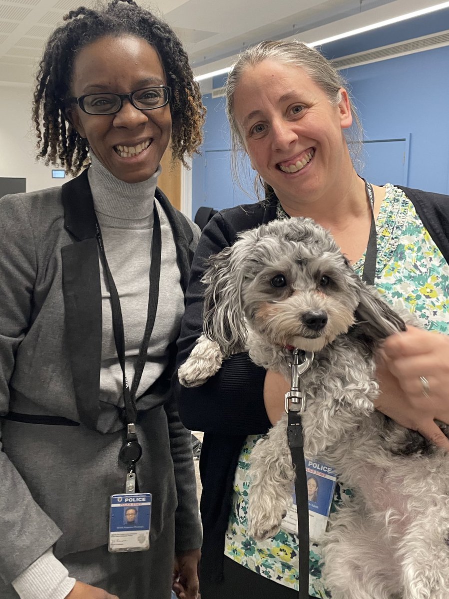 Truffles_999's tweet image. Truffles paid a visit to Lloyd House today to meet the lovely hard working finance team. Cuddles all round followed by a well earned puppaccino in Brindley Place. #milkmoustache @WestMidsPCC @OscarKiloNine