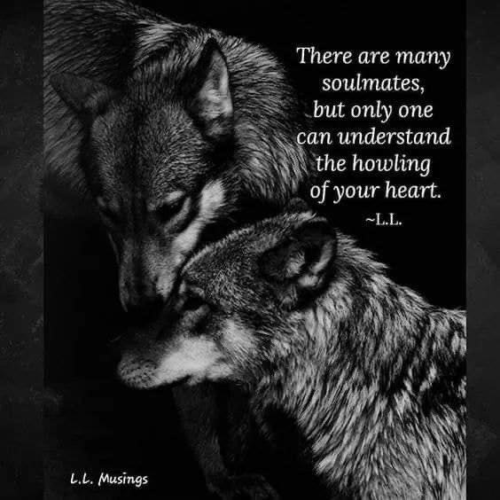 MyBooChesterBe's tweet photo. @TayTaughtChu @SynergeticSoul https://t.co/OV64OHum5y