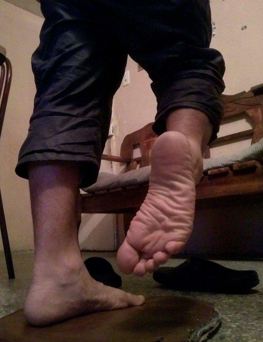 Pana Pies tweet media