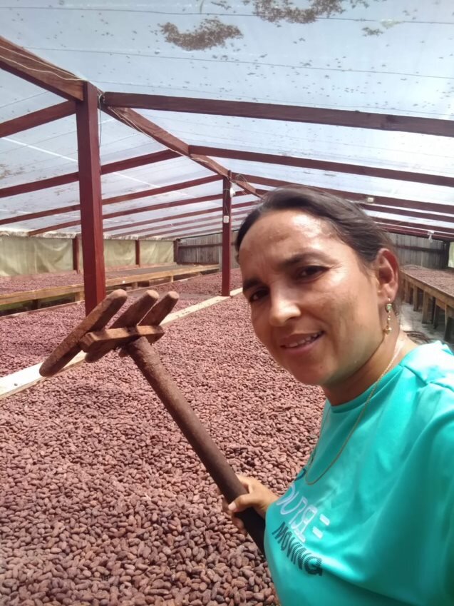 NTierraProspera's tweet photo. Con la Alianza Público-Privada de cacao en El Catatumbo buscamos mejorar la calidad de este grano. Mujeres como Jovita Dávila en Tibú implementan buenas prácticas en cosecha y poscosecha para mejorar producción y comercialización. 
#LasMujeresSumamos 🙌🏾 #DíaInternacionalDeLaMujer https://t.co/aniDZvUF8V