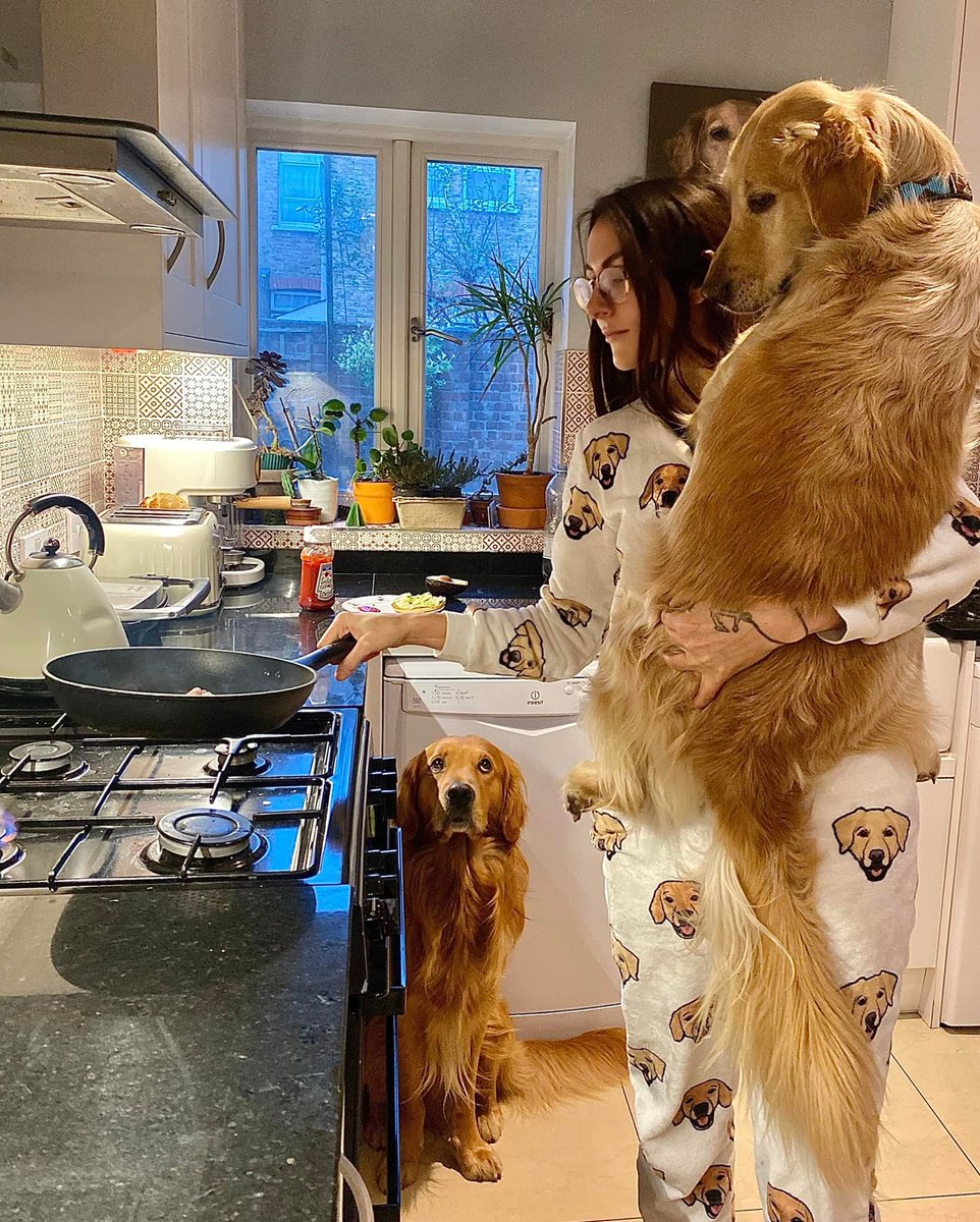 Eu: Nossa eu odeio criança mimada!

Eu com meu cachorro: