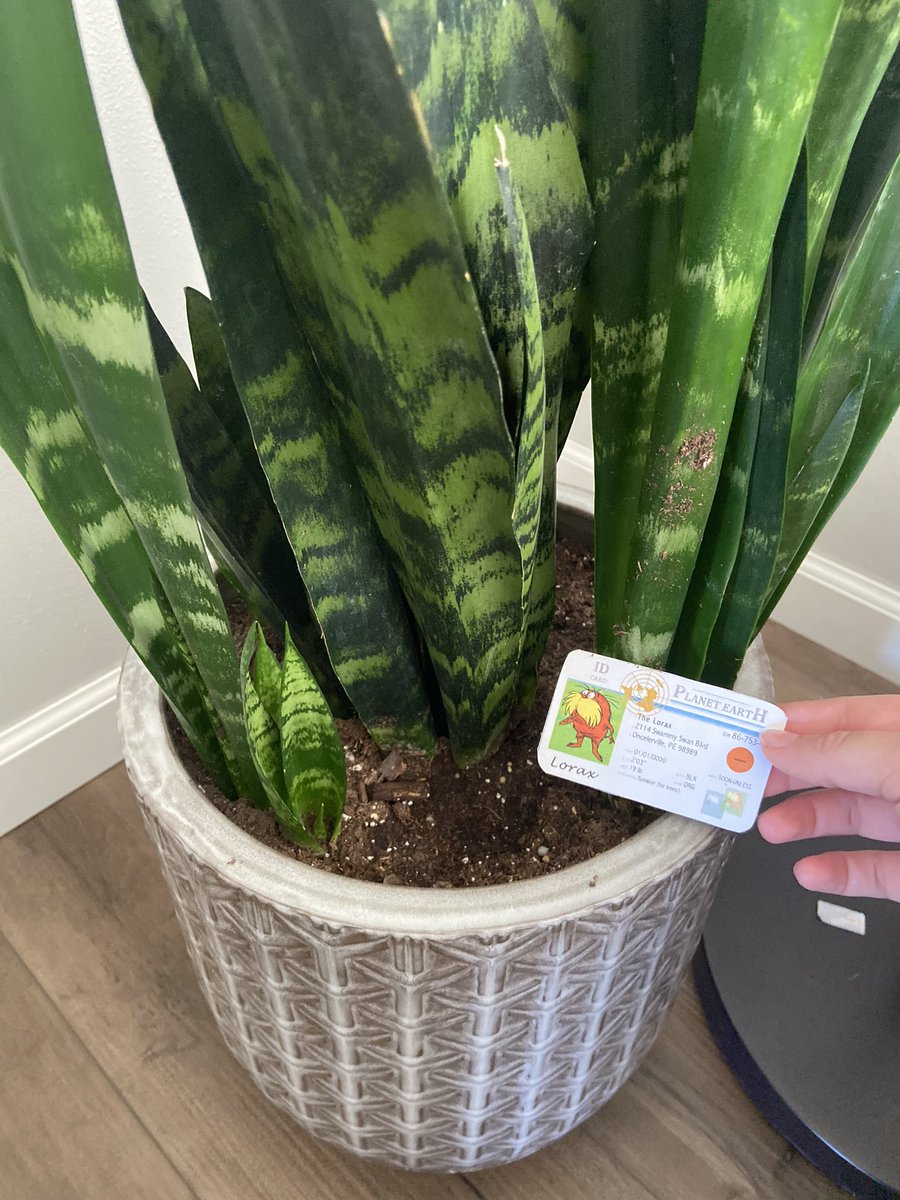 My family uses fertilizer in some of our plants! Fertilizer replenishes plants with the proper essential nutrients and minerals such as nitrogen, phosphorus, and potassium! 🪴 #Apesland <a href="/franklinlorax/">APES Project Lorax</a>