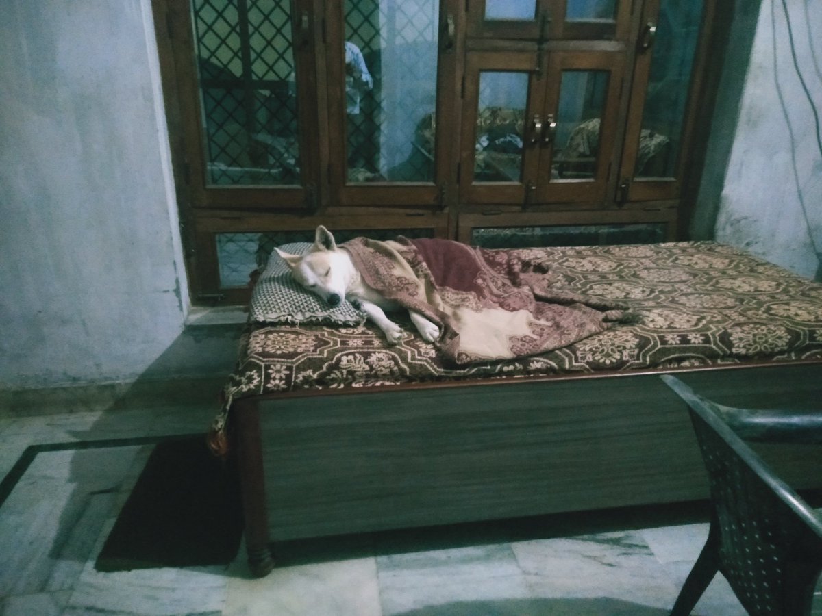 krishnapurigos2's tweet image. धनौरी हरिद्वार के पत्रकारों का सोनू पुरी गोस्वामी रात्रि विश्राम करते हुए