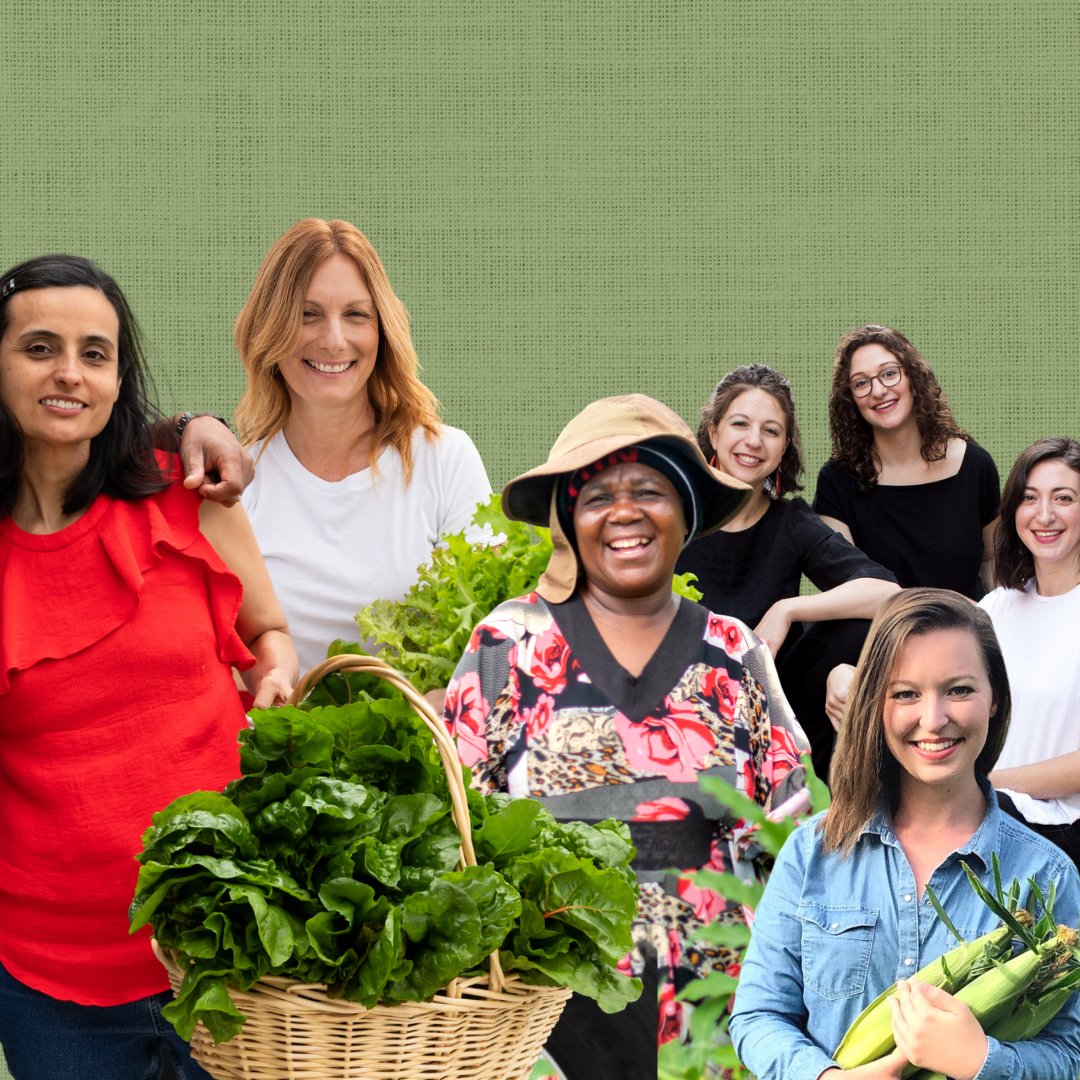 The Common Market tweet media