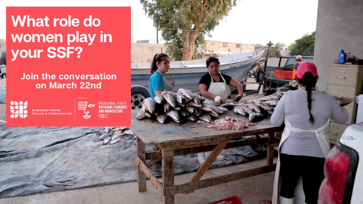 Over 56 million women worldwide contribute to #SSF. But their voices are rarely heard. For our #IYAFA2022 webinar series, we're bringing female #fisherfolk together to tell us about their work, lives & communities. Join the conversation: ssfhub.org/event/ssf-hub-… #IWD2022 @FAOfish