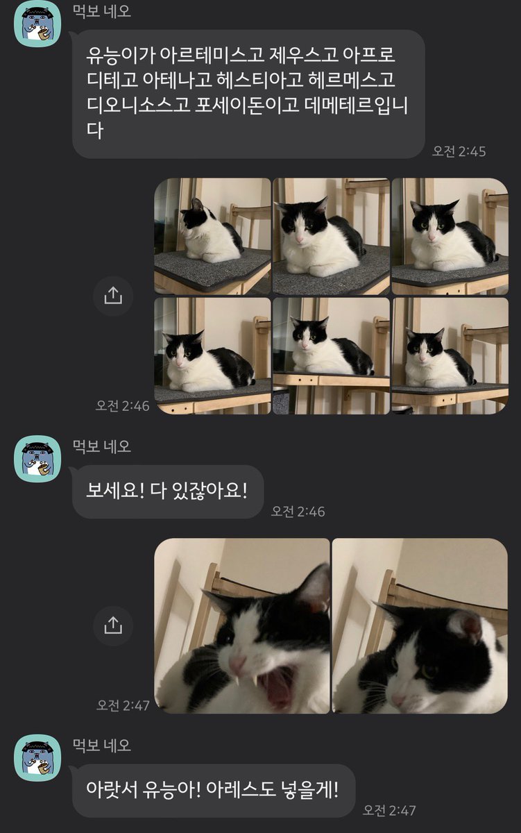 catwithsister's tweet photo. https://t.co/IH86PC5kW5