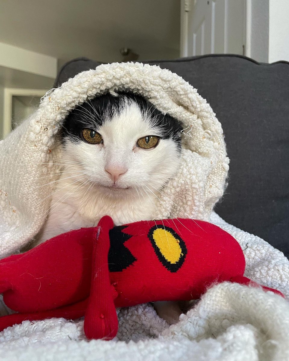 I will only be posting pictures of Snoopy from here on out