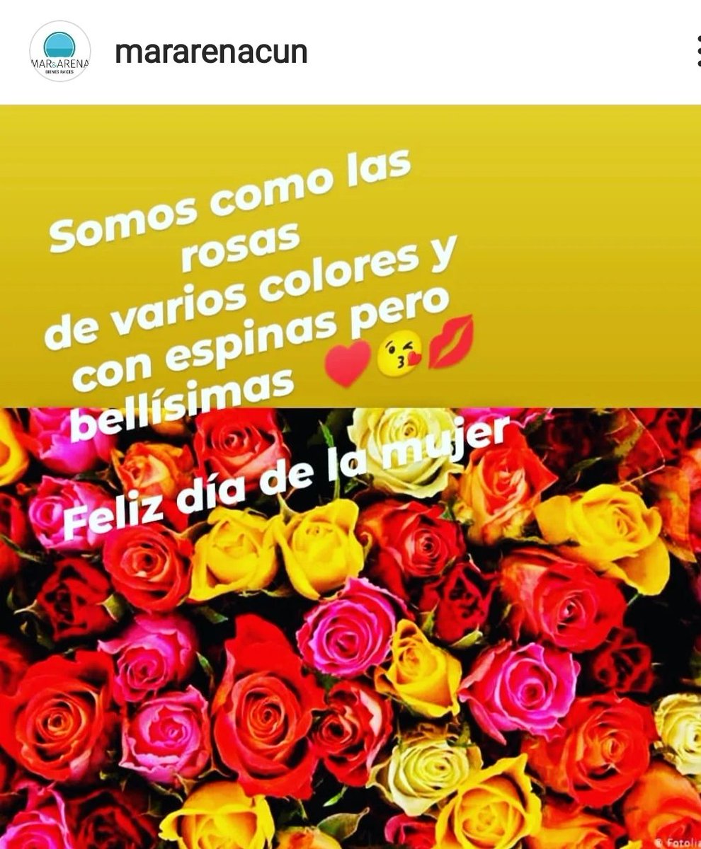aurokun's tweet photo. Feliz día 🌷 a todas las mujeres https://t.co/4Q3pwMPSoz