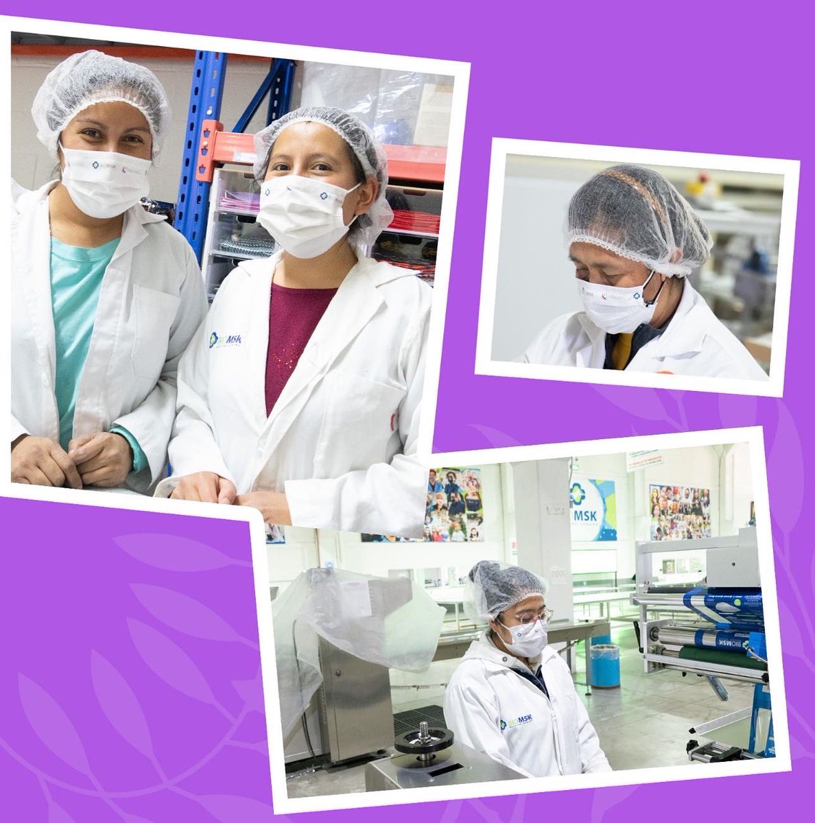Biomskmx's tweet photo. El 8 de marzo Día Internacional de la Mujer 👩🏻‍🦱👩🏼‍🦰👩🏻👱🏼‍♀️🧑🏽

Trabajadora, inigualable, tenaz y luchadora.👏🏽🙌🏼💪🏼💜💚🤍

 #DíaInternacionalDeLaMujer #8M #StrongWomen #Gracias a https://t.co/mwJyqQOQiB