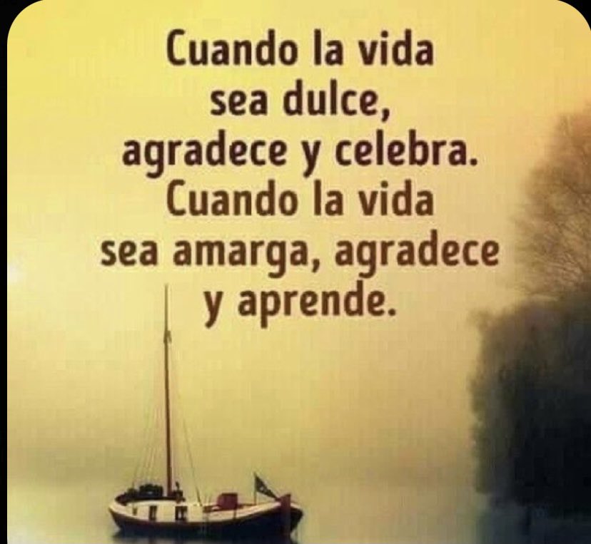 Francisco Salvador Becerril G tweet media