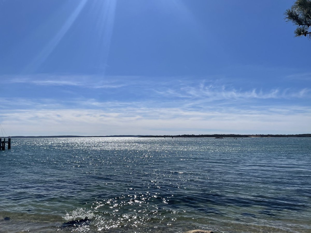sarahwroblewski's tweet photo. Enjoying that ☀️ today before ❄️ returns tomorrow. Working on a story to air soon &amp; had to share this view! #CapeCod #MAWeather #WBZ https://t.co/x8jdIGr4Zw