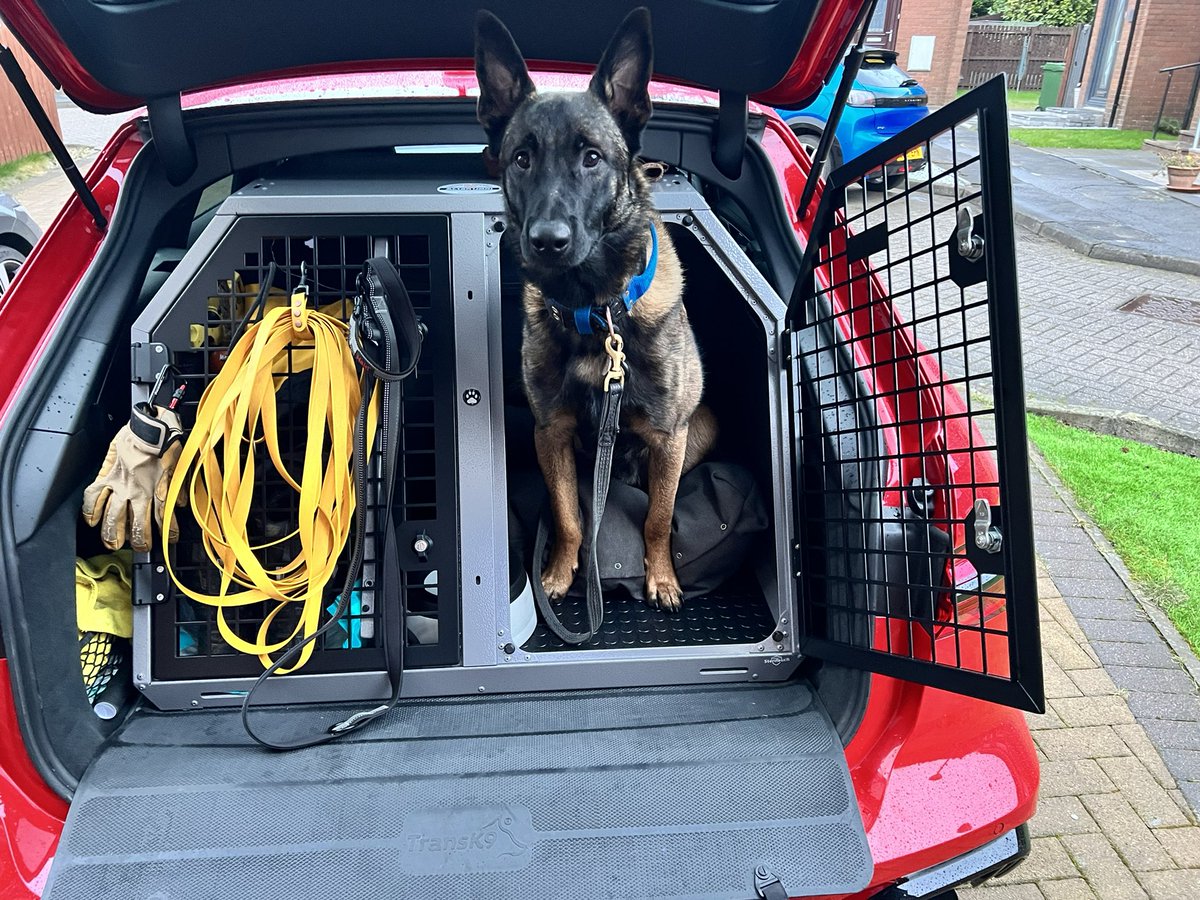 thanks for the recommendation <a href="/that_craig_kid/">craig cathie</a> <a href="/K9Scottish/">Scottish Police Dog Memorial</a> I made the jump and got the <a href="/TransK9/">TransK9 Sharon</a> B3 box for pyro 🧨 🐕. Where does the shopping go again ??🤣🤣. Excellent customer service from <a href="/TransK9/">TransK9 Sharon</a> a pleasure to deal with.