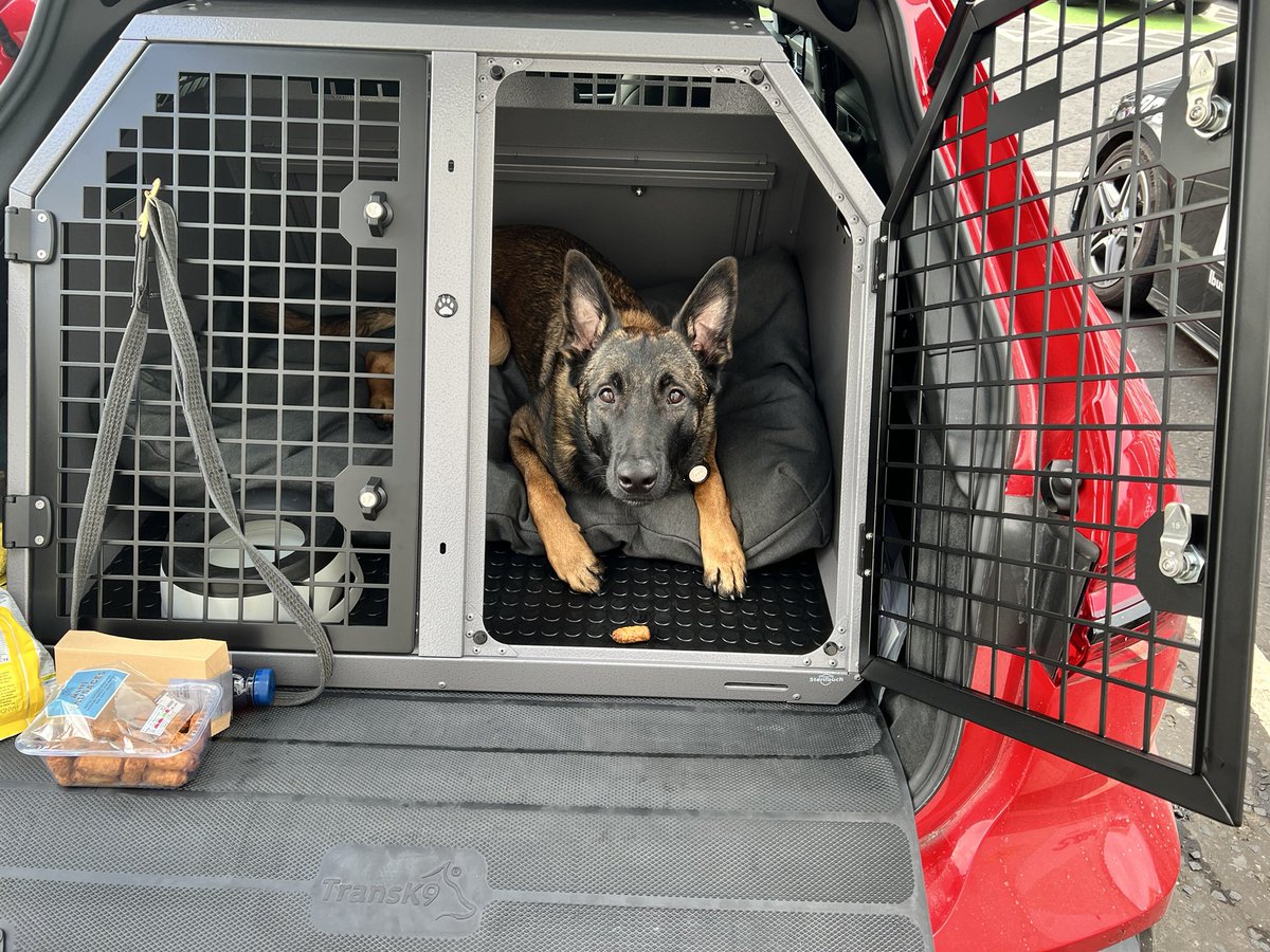 ParaBrian1's tweet photo. thanks for the recommendation @that_craig_kid @K9Scottish I made the jump and got the @TransK9 B3 box for pyro 🧨 🐕. Where does the shopping go again ??🤣🤣. Excellent customer service from @TransK9 a pleasure to deal with. https://t.co/eEoeQrCfoM