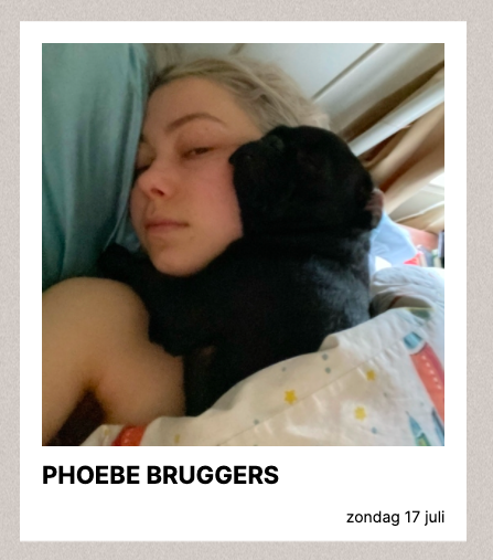 MatanGrouper's tweet photo. Ik was even op de site van Lollapalooza Paris aan het kijken, en aangezien die enkel in het Frans was, had ik vertaling van site aangezet https://t.co/ZZ9I3aDkC0