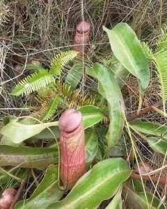 Marcus Veneroso tweet media