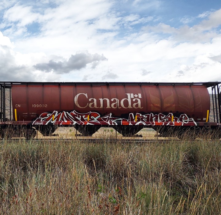 GraffitiExpress's tweet photo. monte banshe
#kamloops #train #graffiti #art
#monte #banshe https://t.co/pEhkZI6d7Z