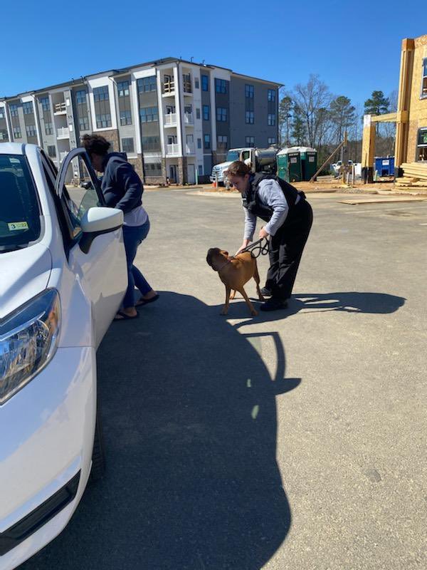 ccpdanimalsvcs's tweet photo. Thanks to a collaborative effort with @CFEMSPIO we were able to get this pup some help. The dog was safely removed from an elevator shaft and returned to its owner. #teamwork #collaboration #reunited #teamworktuesday https://t.co/zA3bBiDna2