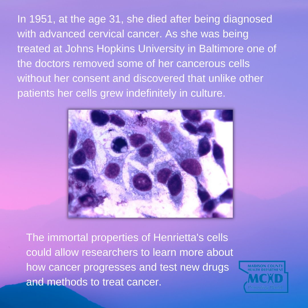 MadisonCHD's tweet image. This month, MCHD honors women in history whose legacy in health and science paved the way for the women of today on International Women's Day.

Henrietta Lacks didn't' live long enough to know the scope of her impact, but she revolutionized science with her cells.