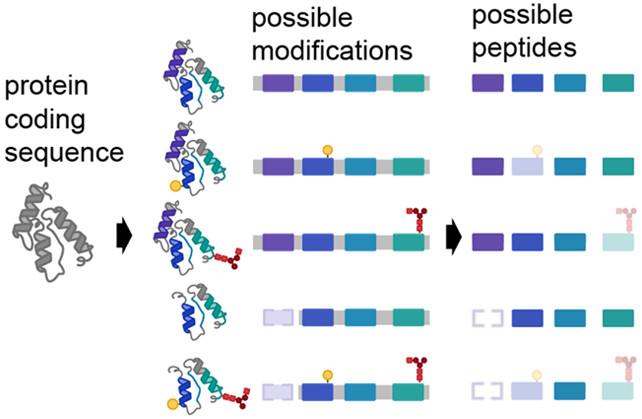 Journal of Proteome Research (@jproteomeres) on Twitter photo The @MacCossLab collaborated with <a href="/Smith_Chem_Wisc/">MetaMorpheus @metamorpheus.bsky.social</a> & others to reevaluate the current method of protein quantification in bottom-up proteomics. pubs.acs.org/doi/10.1021/ac… The @MacCossLab collaborated with <a href="/Smith_Chem_Wisc/">MetaMorpheus @metamorpheus.bsky.social</a> & others to reevaluate the current method of protein quantification in bottom-up proteomics. pubs.acs.org/doi/10.1021/ac…