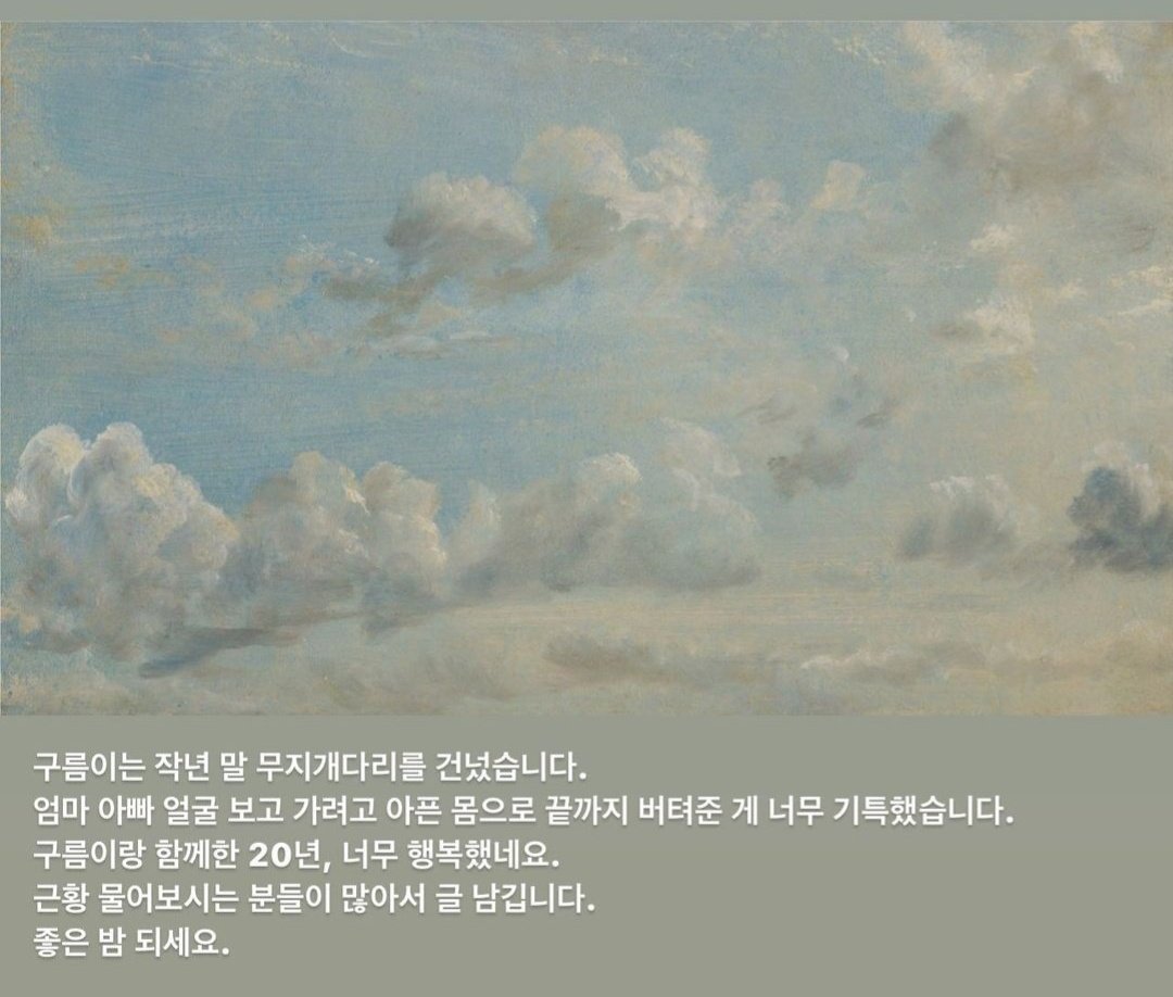 ilkkuksb's tweet photo. jungkook’s brother posted a story saying that gureum passed away at the end of last year :( rest in peace gureum 🐶🤍 https://t.co/t6H0W7Bixt