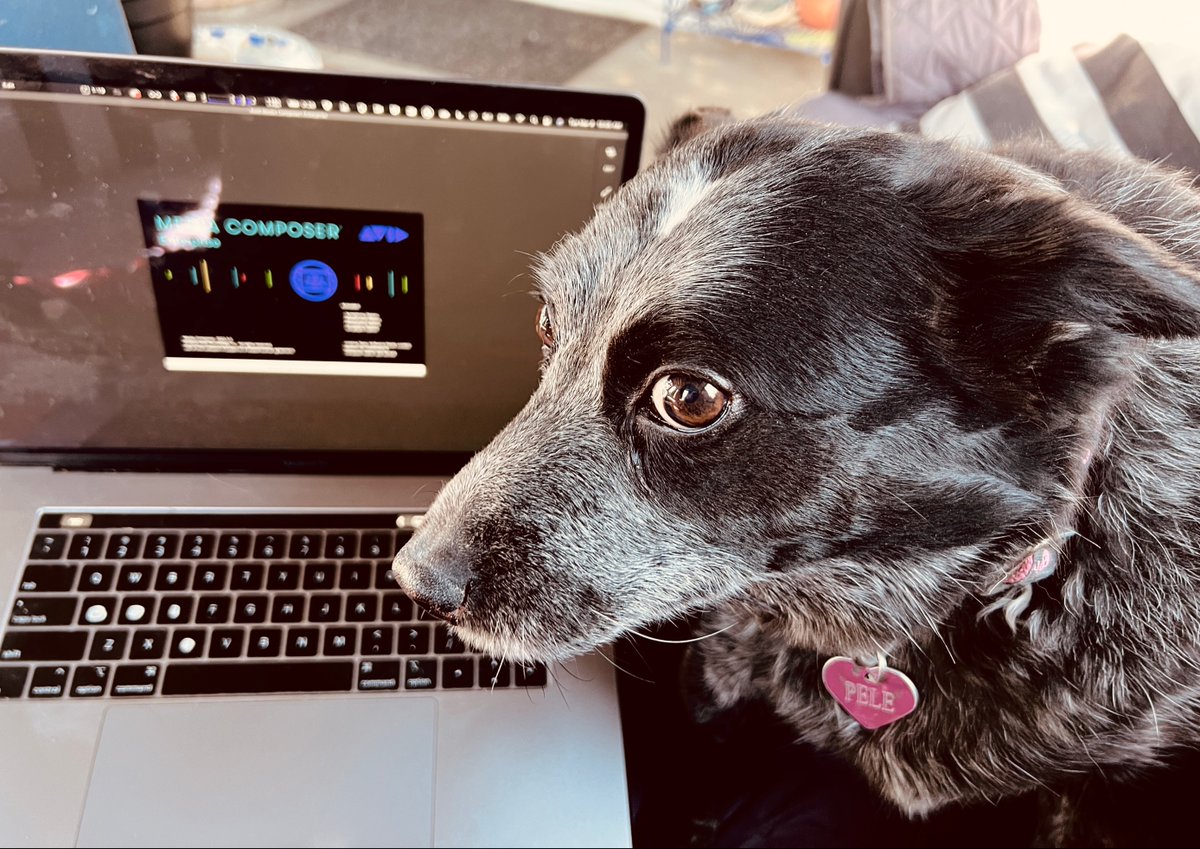 KeyCodeMedia's tweet photo. Jeff Sengpiehl and his assistant Pele in the middle of beta testing Avid Nexis Edge. ❤️🐕

Great job fellas! 👏👏

#job #testing #welovepets #teamwork #keycodemedia https://t.co/bqowHX431Q